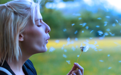 Hoe NLP je helpt om helder te krijgen wat je écht wilt in je loopbaan
